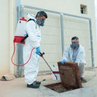 HENA | Expertos en Limpieza y Mantenimiento Industrial